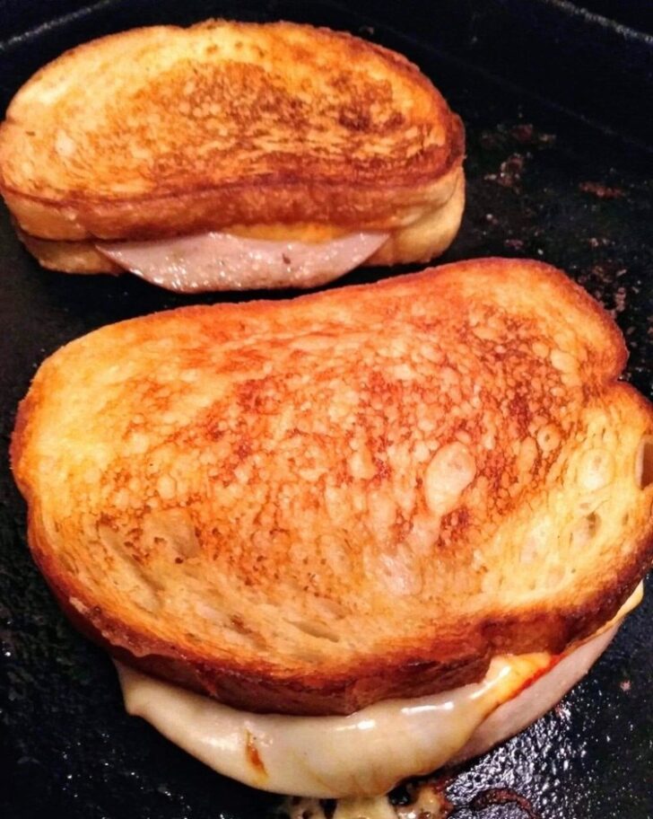 Grilled Turkey And Cheese Sandwich Phitip Recipes