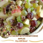 "Refreshing apple salad with Honeycrisp apples, celery, grapes, pecans, and dried cranberries in a bowl."