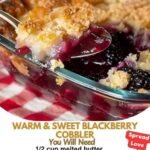 Fresh, warm blackberry cobbler with a golden, flaky topping. Sweet and tangy blackberry filling, perfect for dessert or a cozy treat.