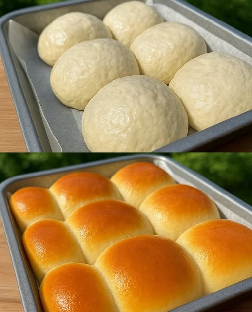 A batch of golden-brown, fluffy no-knead dinner rolls in a baking dish, freshly baked and slightly glistening on top.